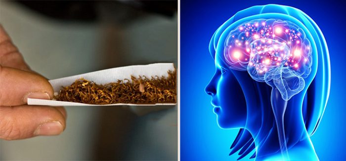 Could Nicotine Help Prevent Alzheimer