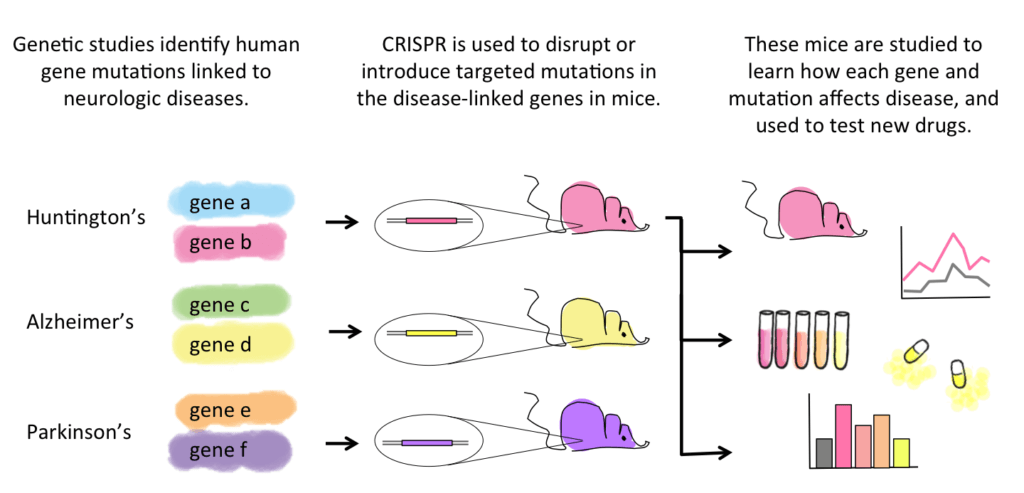 CRISPR may help neuroscientists unlock genetics of psychiatric disease ...