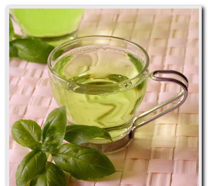 Green Tea Efficacious Cure Parkinson