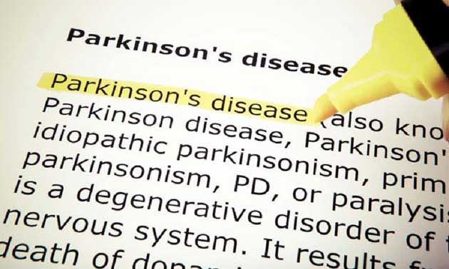 gut bacteria linked to parkinson