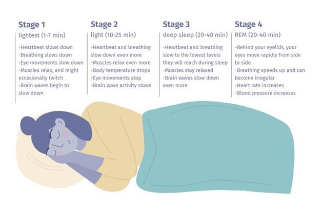 Learn about (REM) Sleep Behavior Disorder