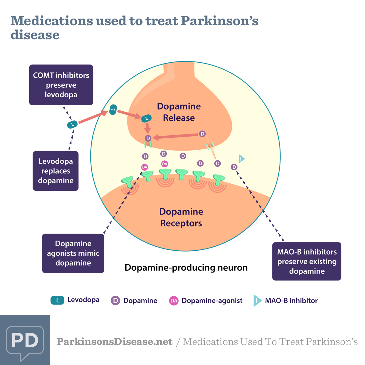Medications for Parkinson
