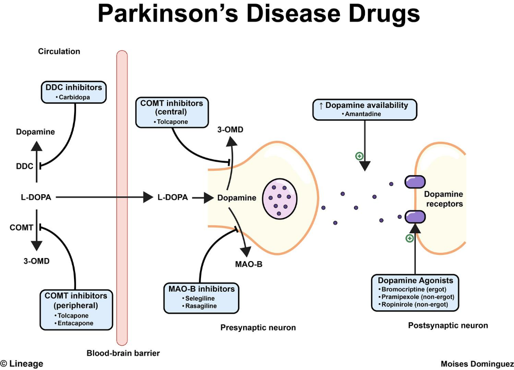 parkinson medication