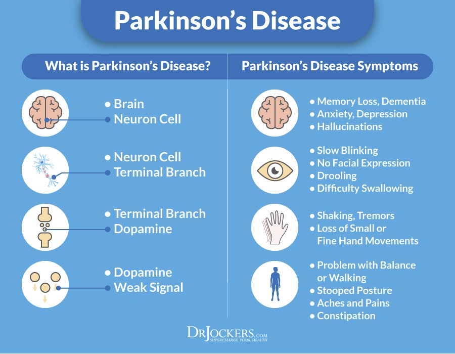 Parkinsonâs and Delay the Disease