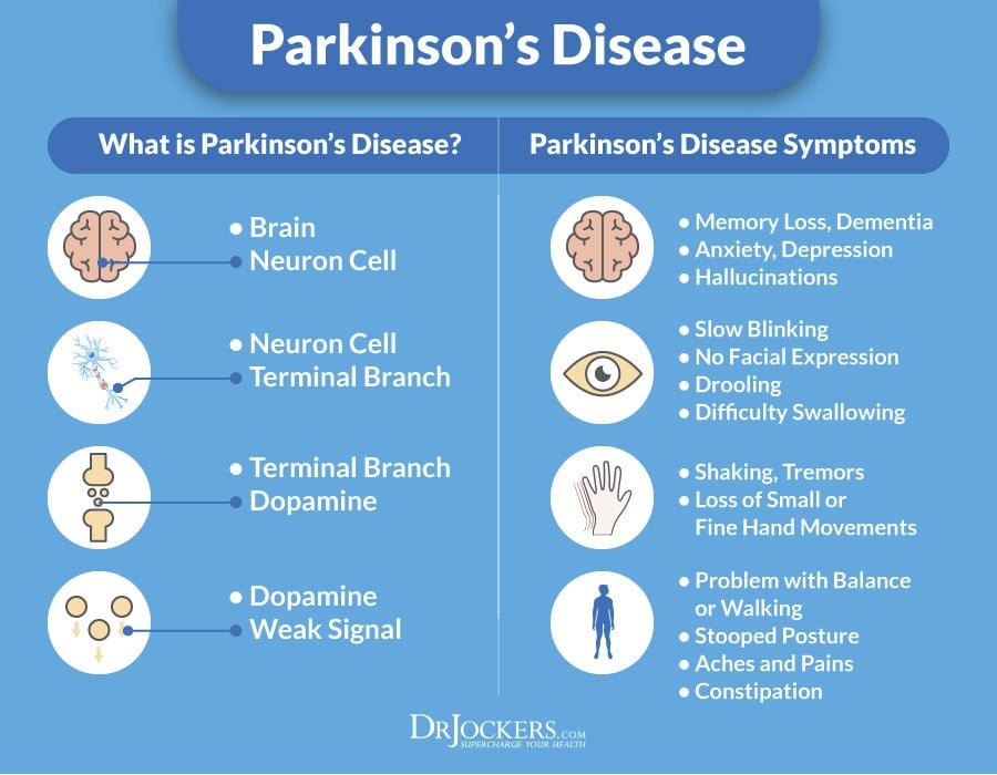 Parkinsons and Delay the Disease