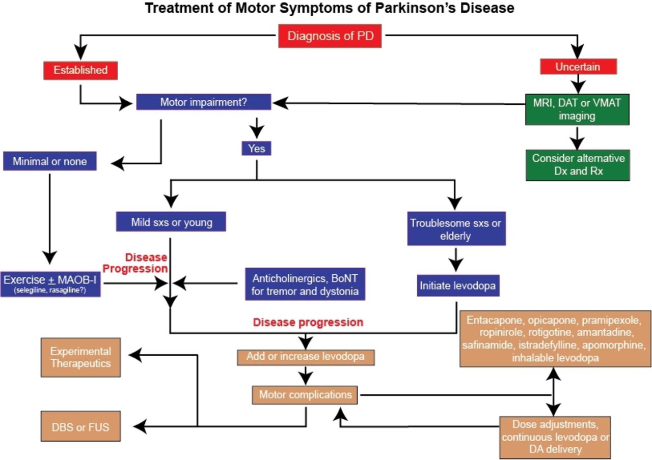 Parkinsons disease: etiopathogenesis and treatment