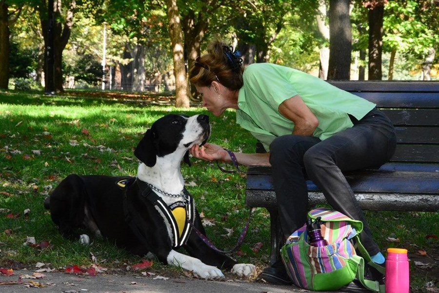 Paws for Parkinsons: the perks and the quirks of service dogs