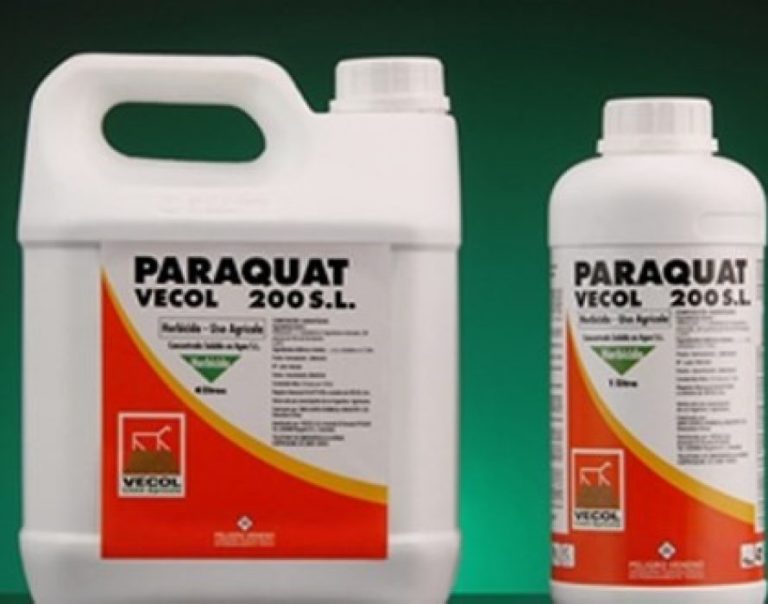 Popular herbicide Paraquat linked to high risk of Parkinsons disease ...