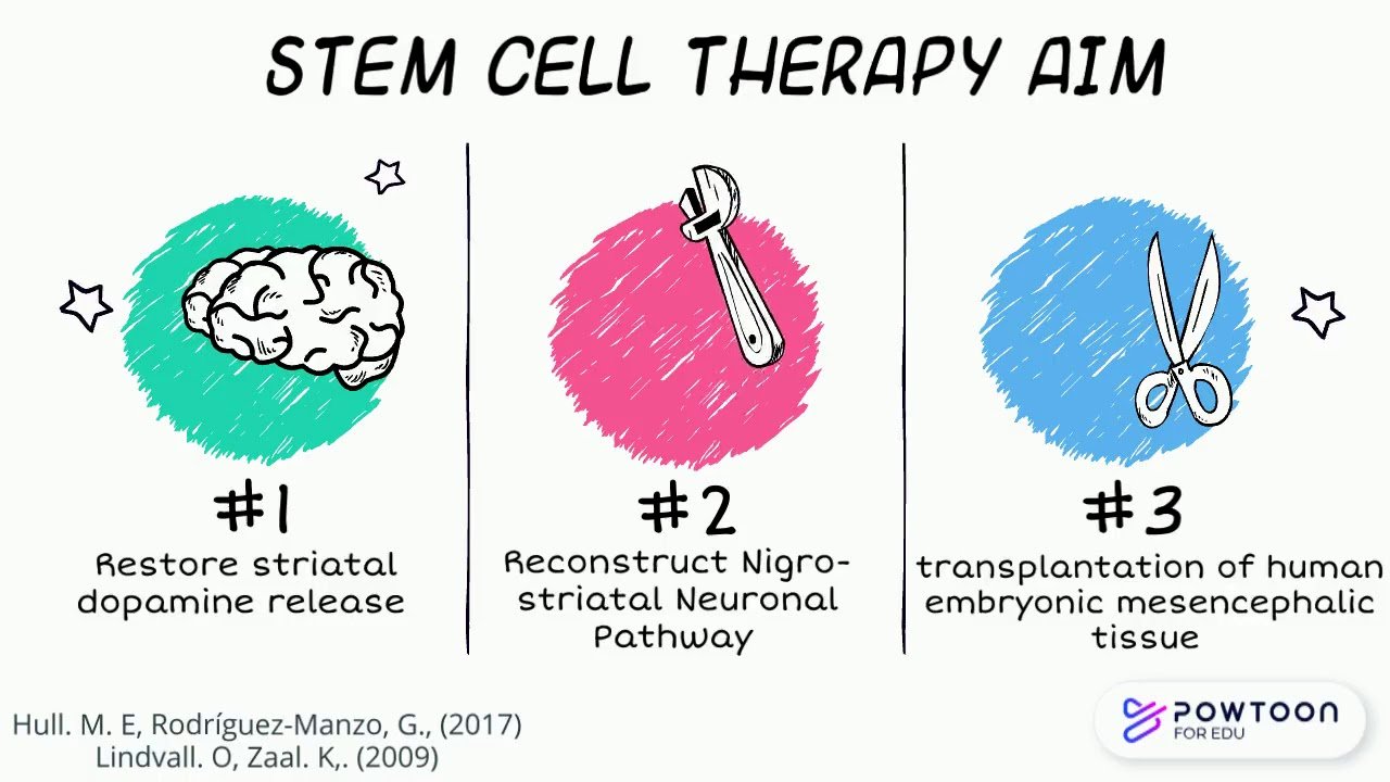 Stem Cell Therapy, Parkinson