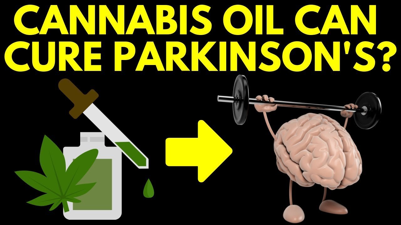 [VIDEO] Cbd Oil Parkinson