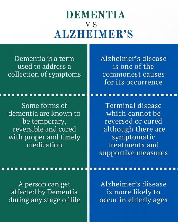 What is the difference between dementia and Alzheimer