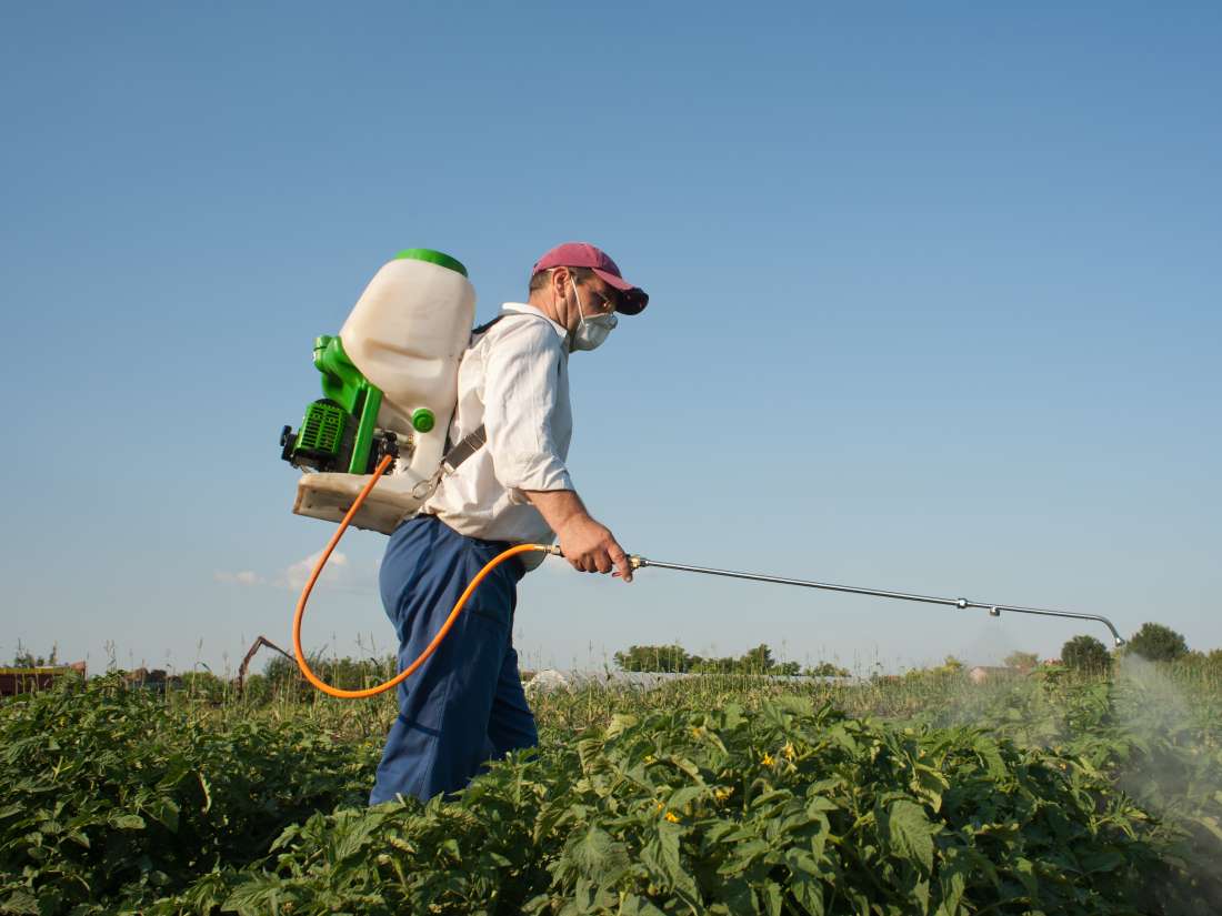 Why pesticides may cause Parkinson